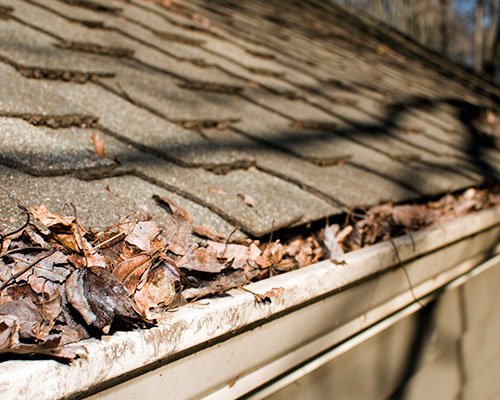 Gutter Cleaning & Brightening Box