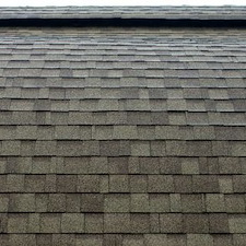 Roof Soft Washing vs. Pressure: What’s Safest for Asphalt Shingles? Thumbnail